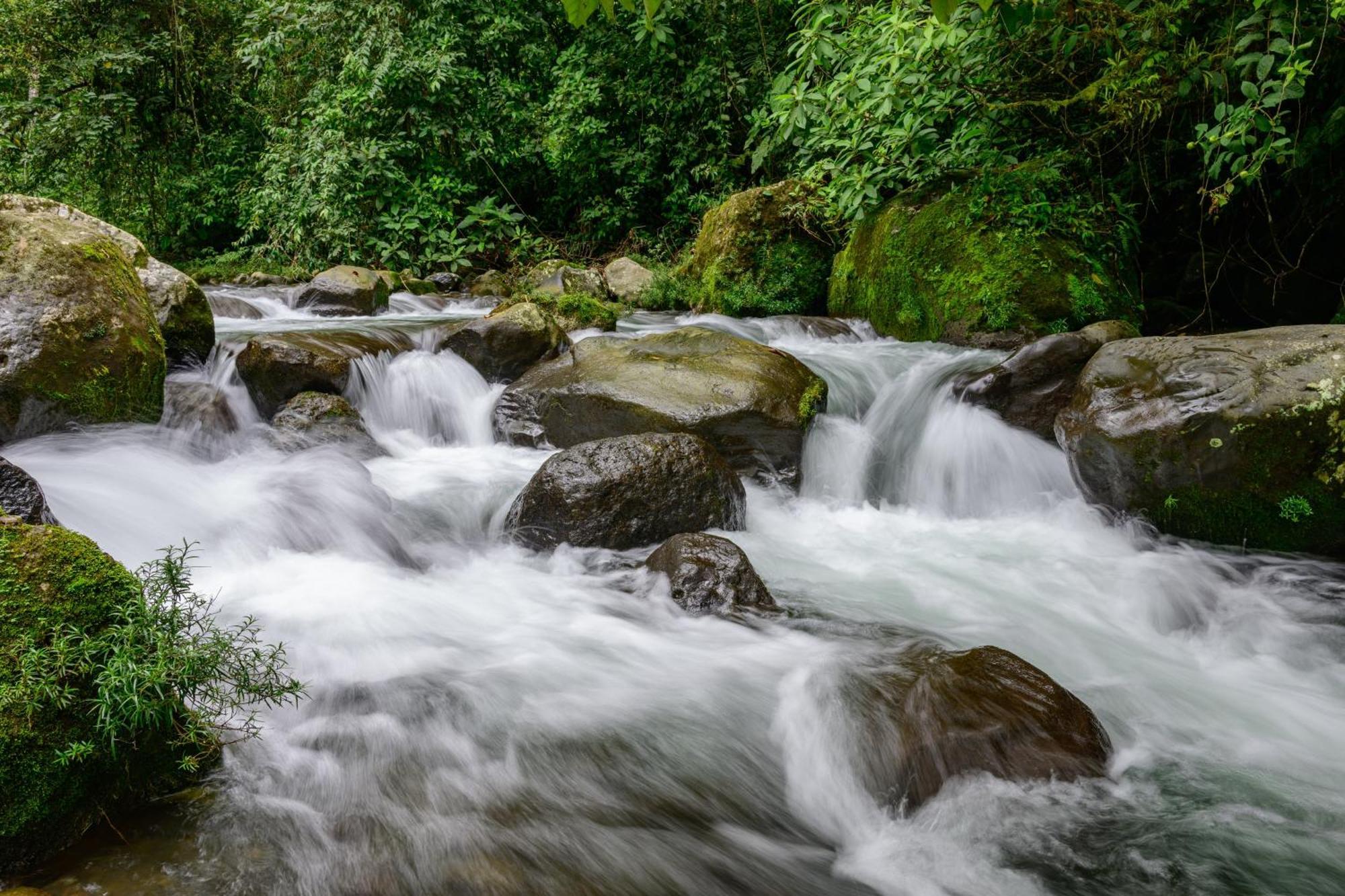 Hotel Rivel - Restaurant & Nature Retreat Turrialba Dış mekan fotoğraf
