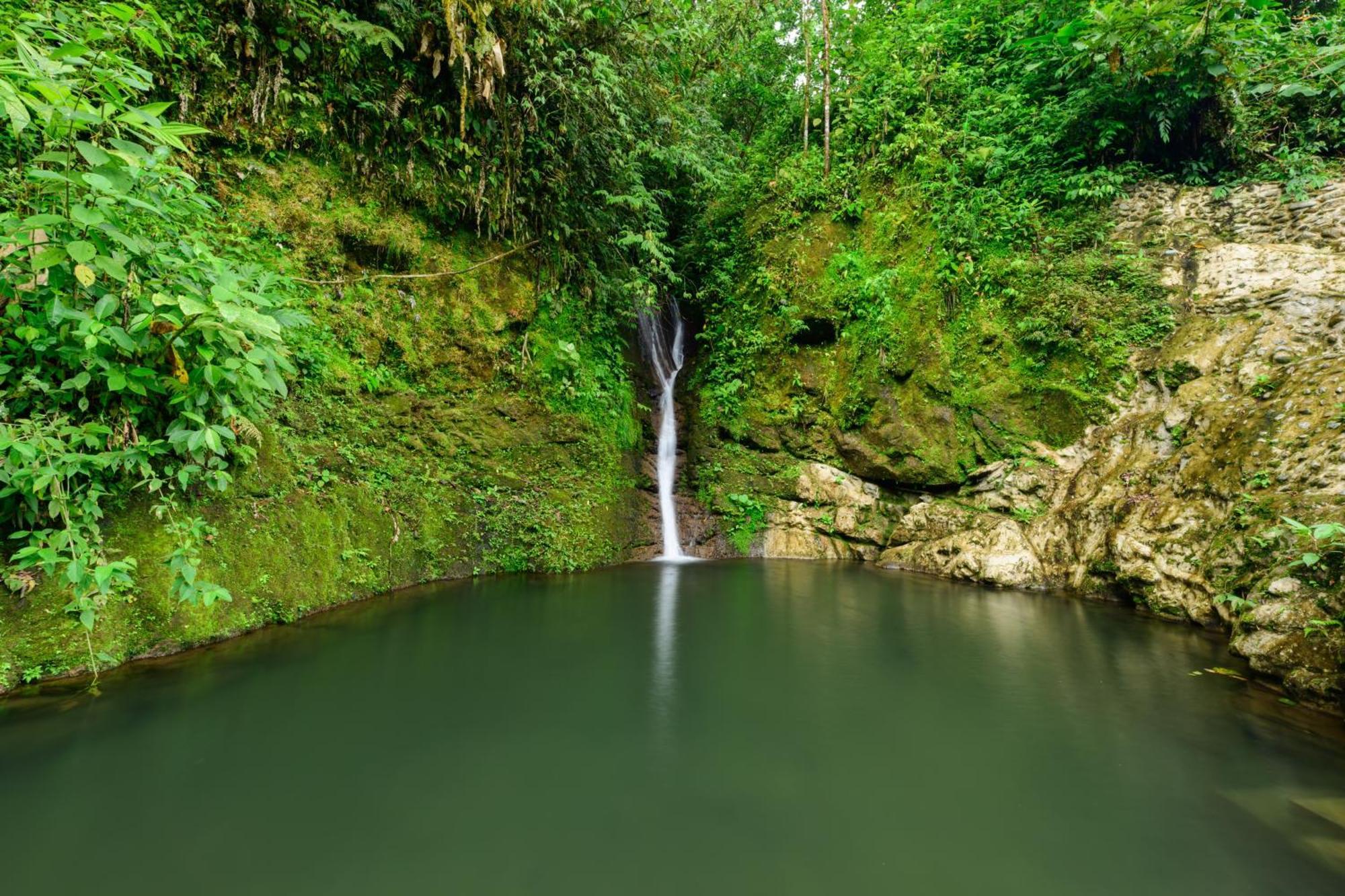Hotel Rivel - Restaurant & Nature Retreat Turrialba Dış mekan fotoğraf