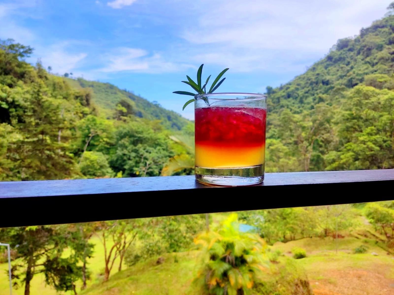 Hotel Rivel - Restaurant & Nature Retreat Turrialba Dış mekan fotoğraf