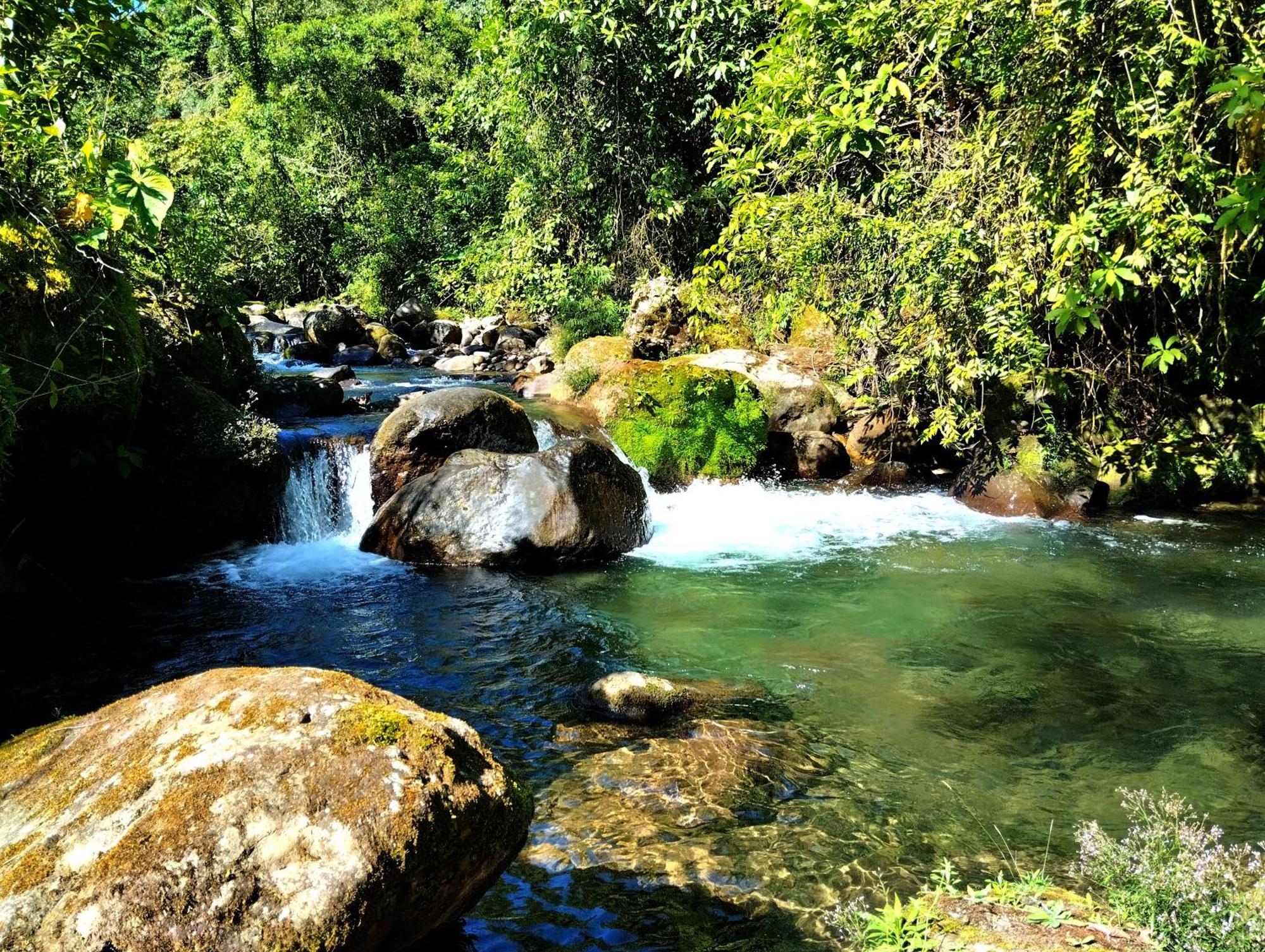 Hotel Rivel - Restaurant & Nature Retreat Turrialba Dış mekan fotoğraf
