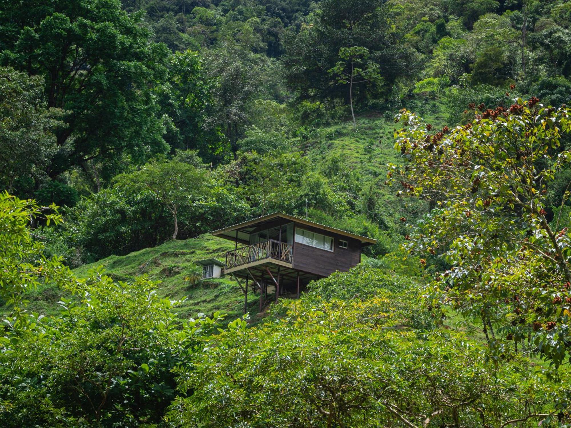 Hotel Rivel - Restaurant & Nature Retreat Turrialba Dış mekan fotoğraf