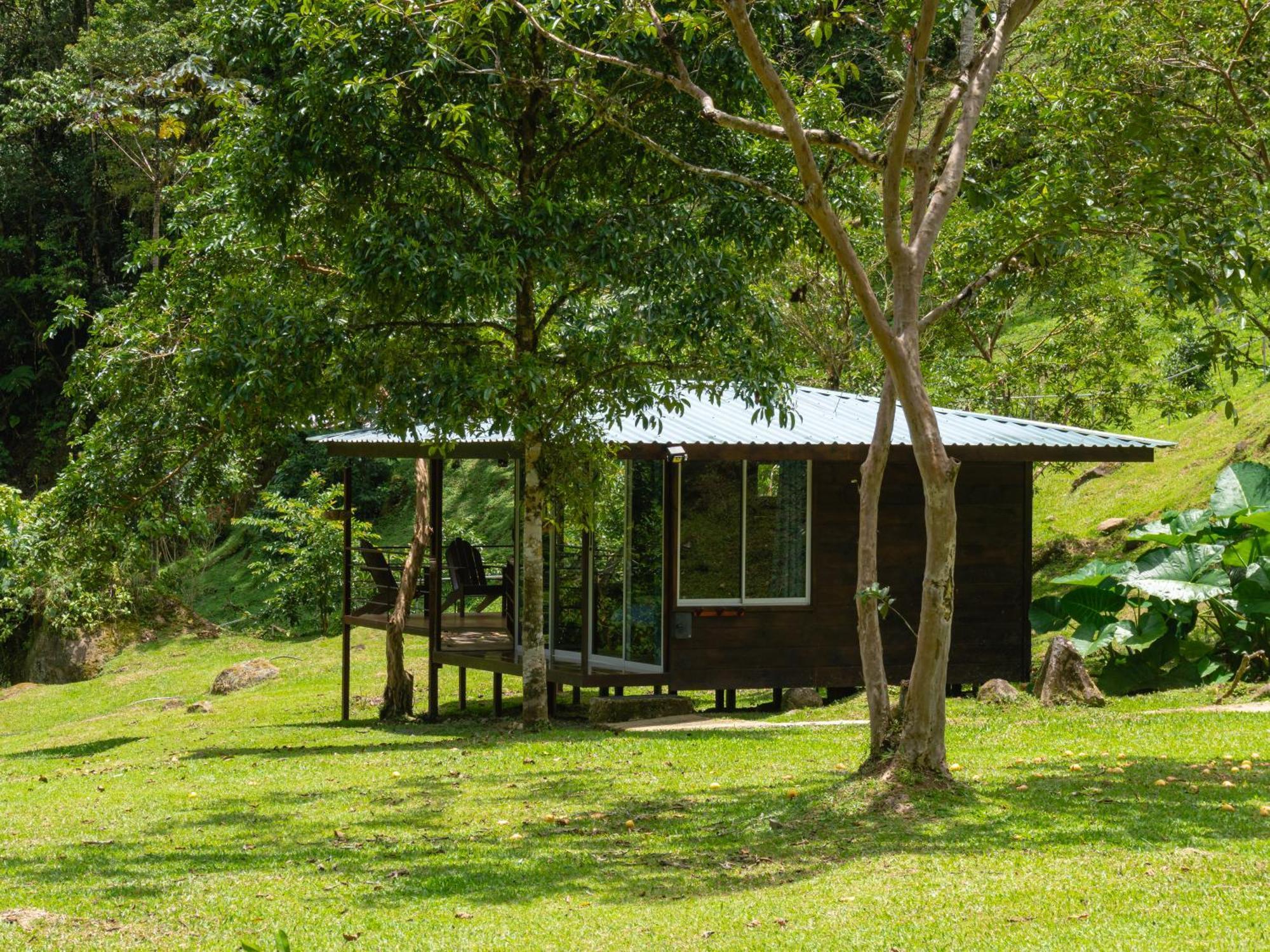 Hotel Rivel - Restaurant & Nature Retreat Turrialba Dış mekan fotoğraf